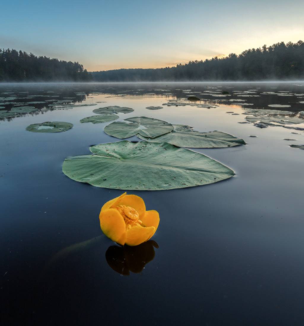 Зеркальная гладь.