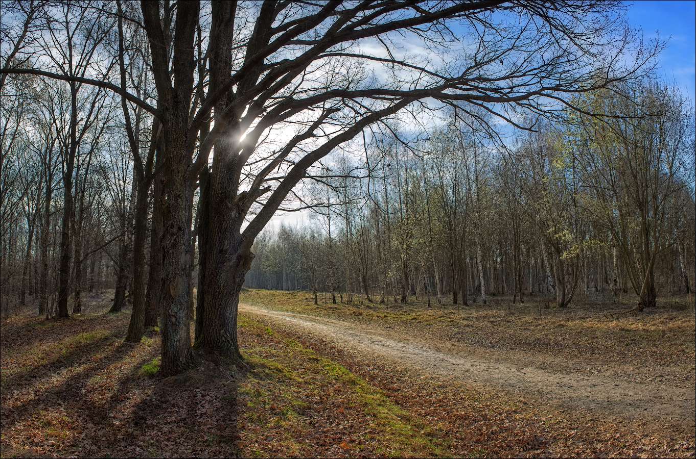 Этюд апреля