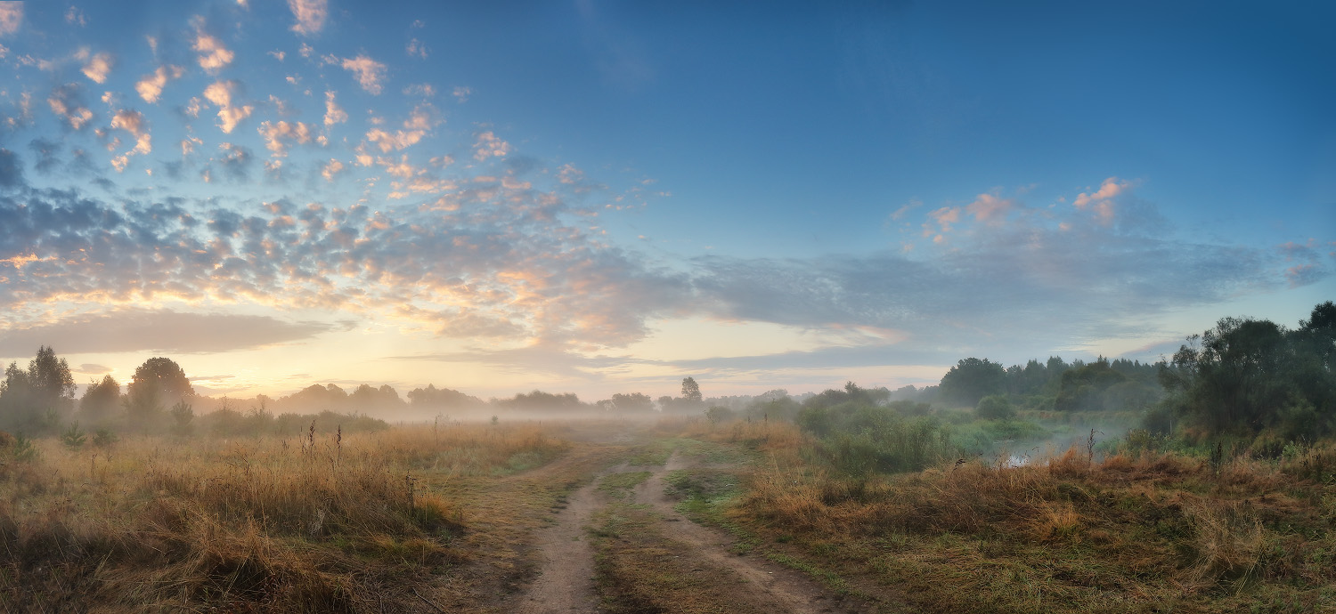На заливном луге после ночной грозы