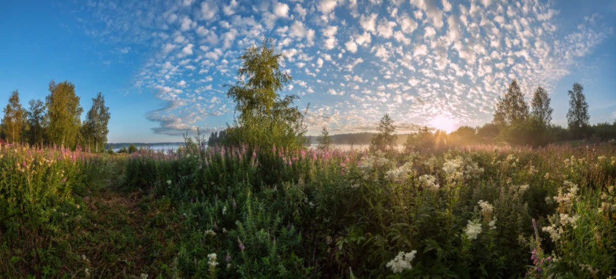 Лето рассветное.