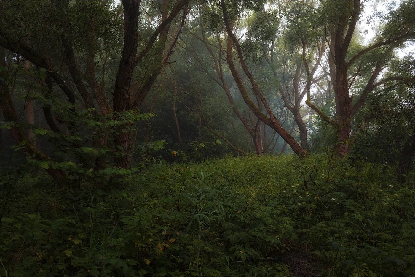 На берегу реки