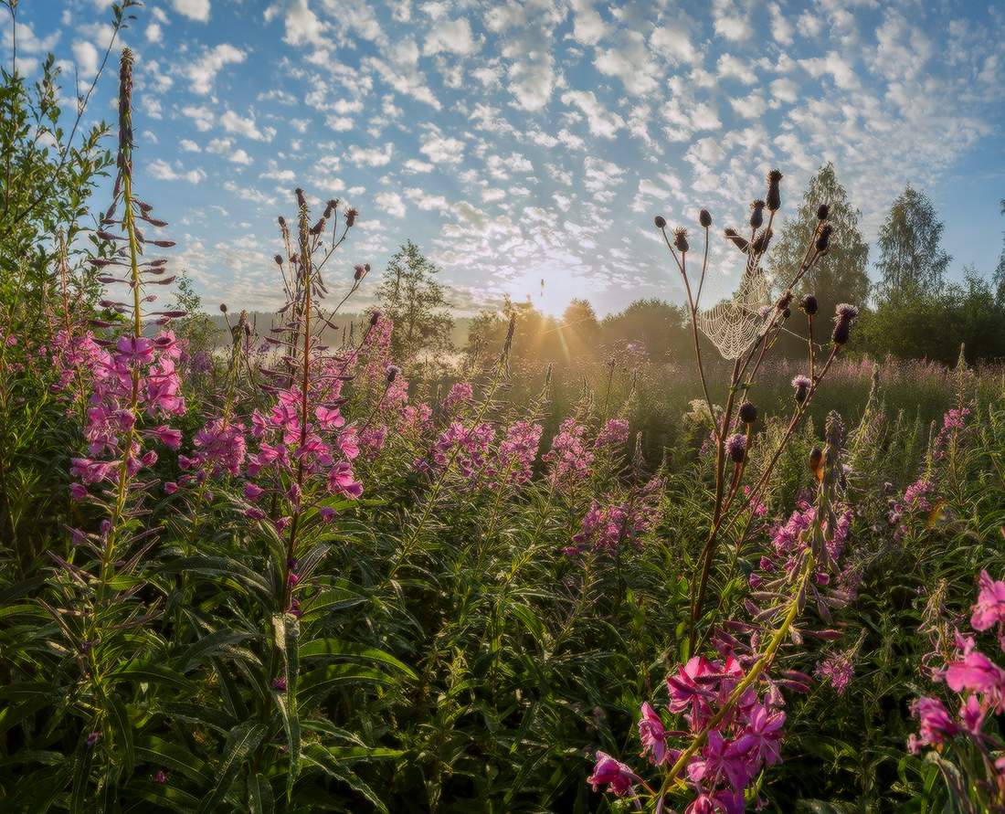 Немного лета.