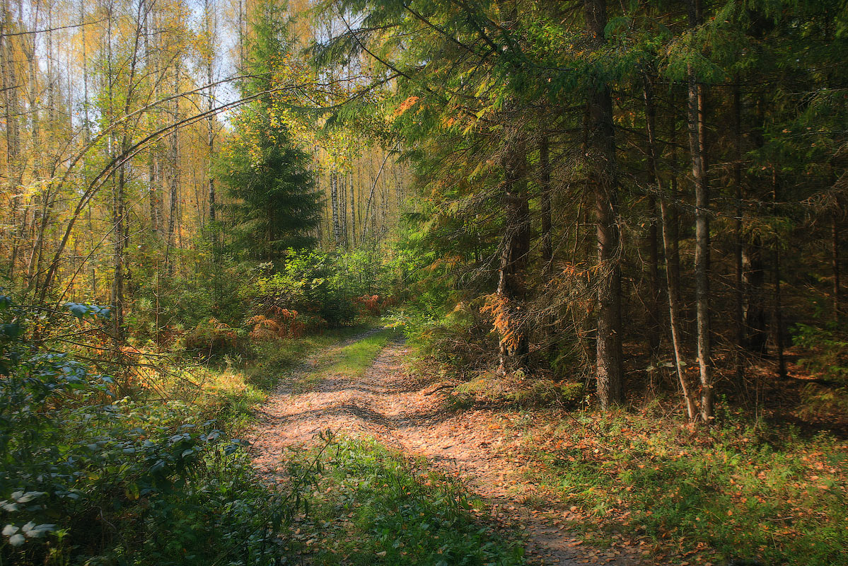 Осеннее настроение