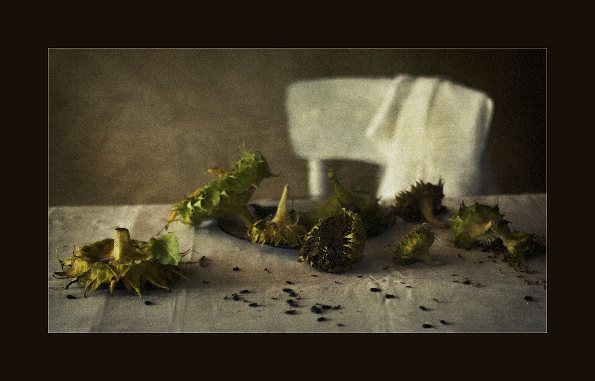 Подсолнухи....