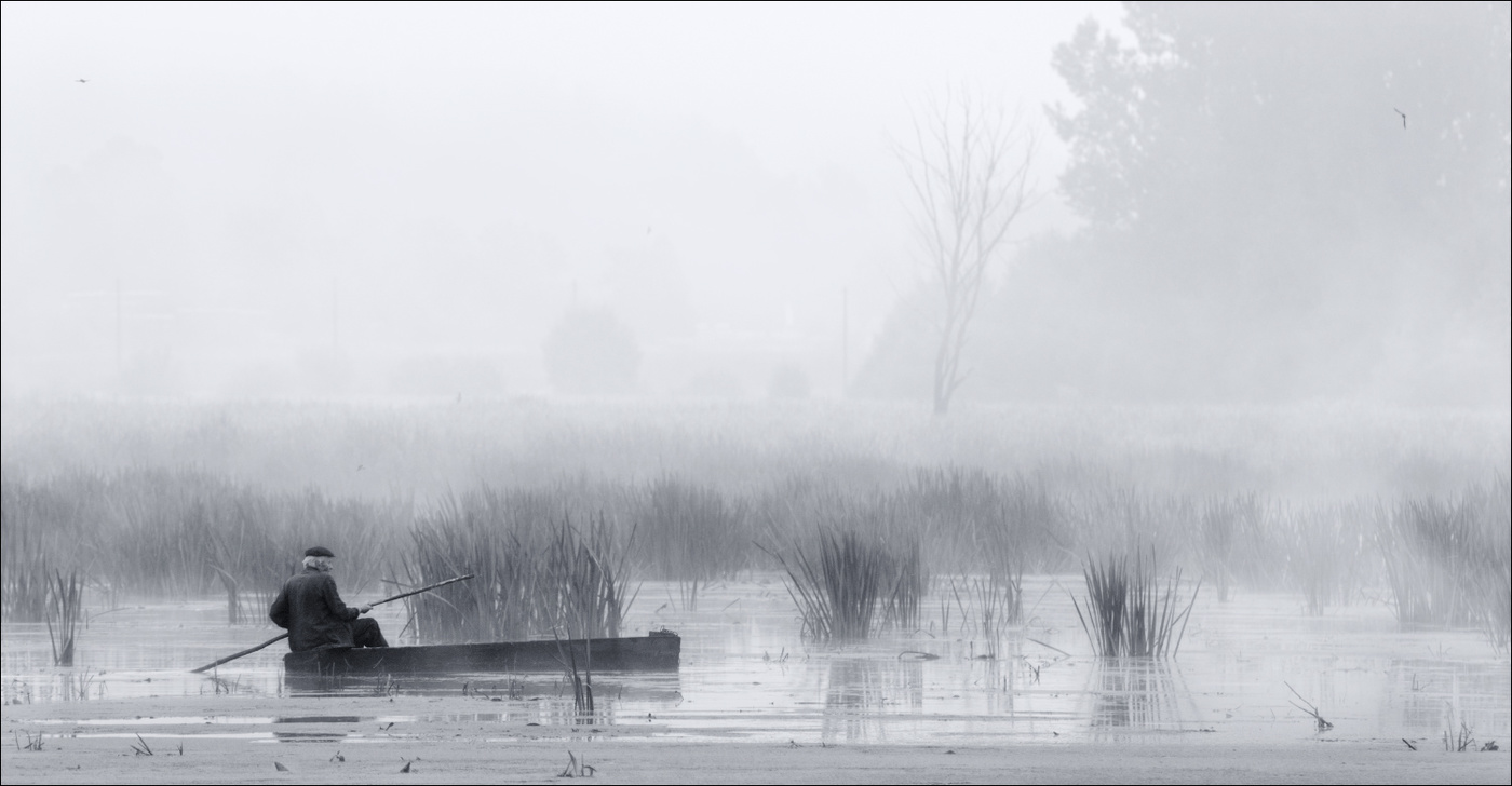 / Утренний этюд /