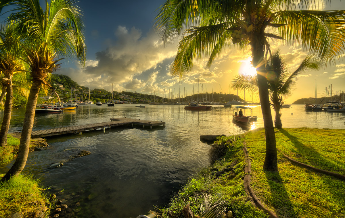 ....a dream large, as elephant