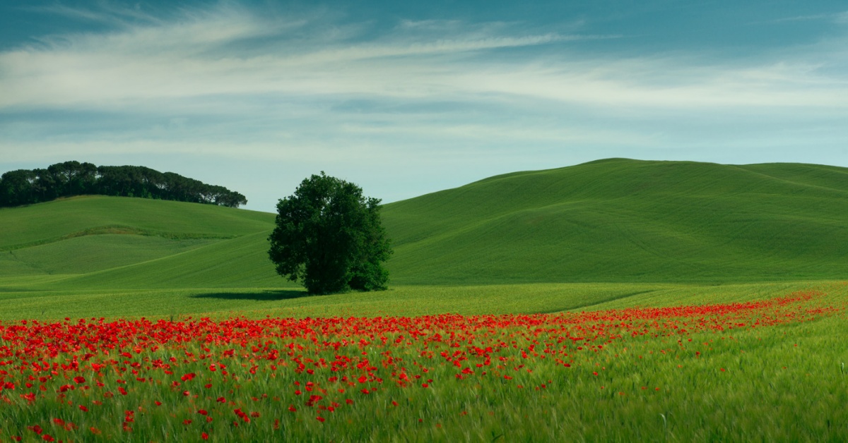 размышления на тему Windows