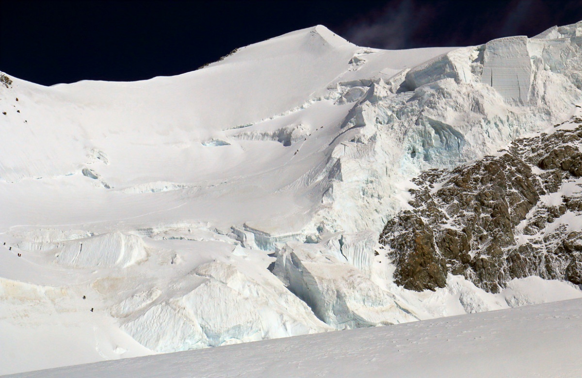 Белуха Восточная