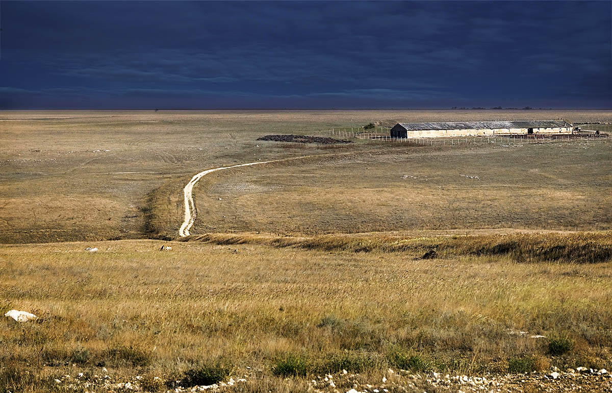 степь да степь...