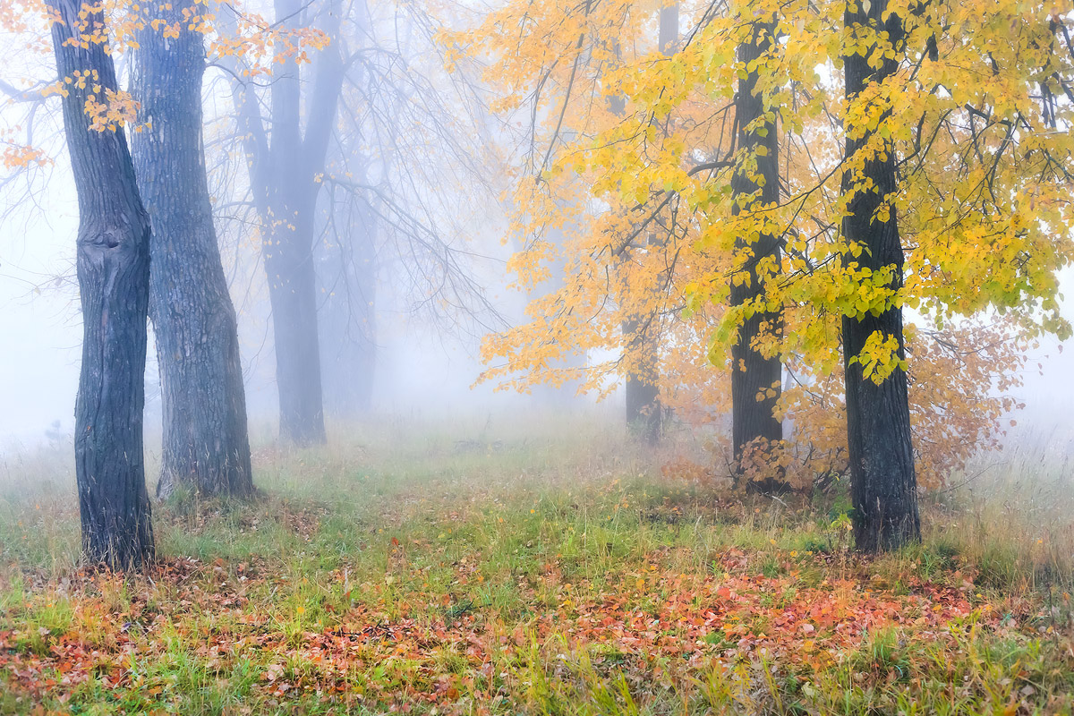 Осеннее утро