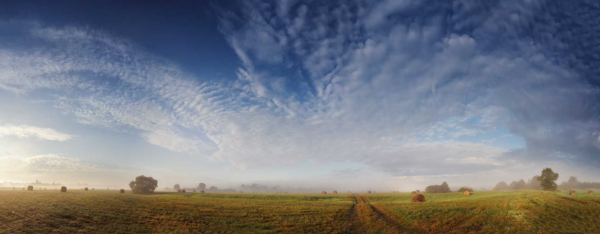 Утро августа на заливном луге