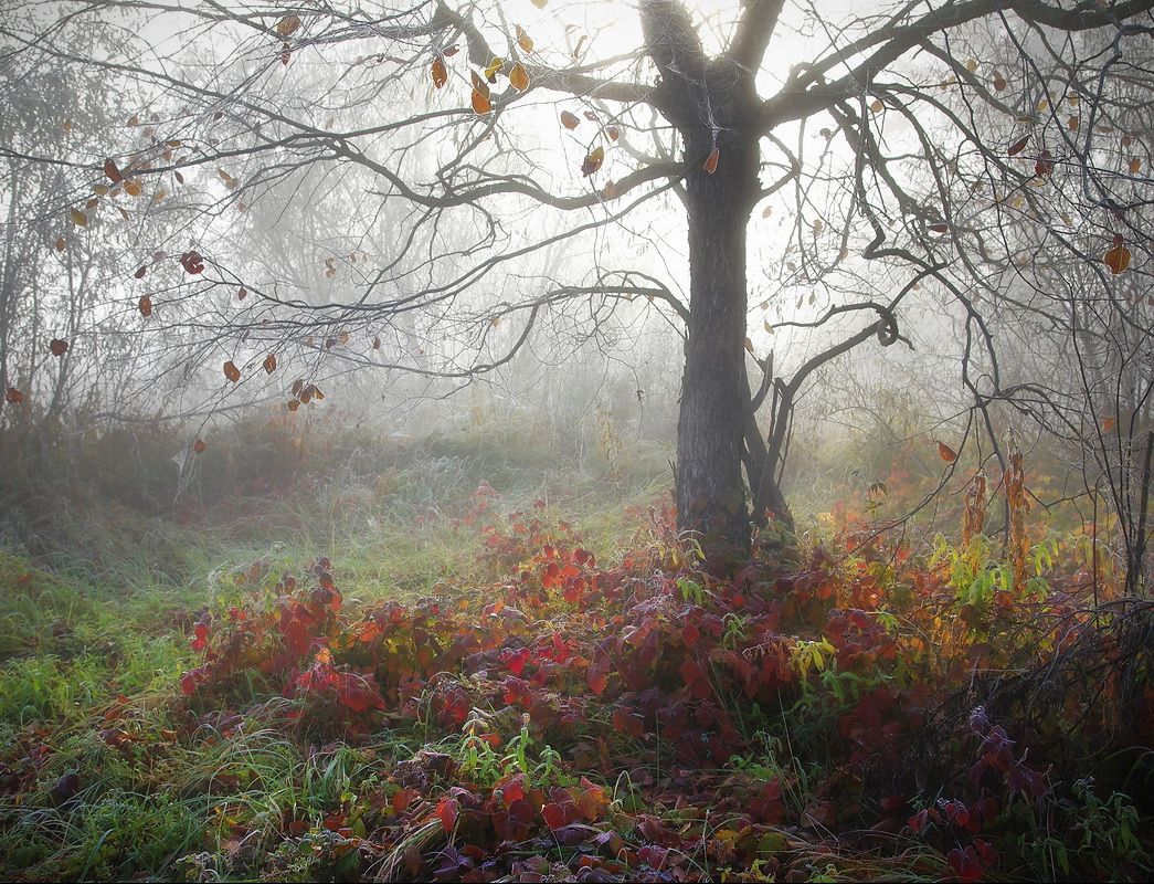 Дыхание осени