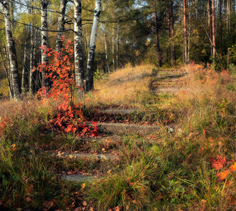 По ступенькам в...
