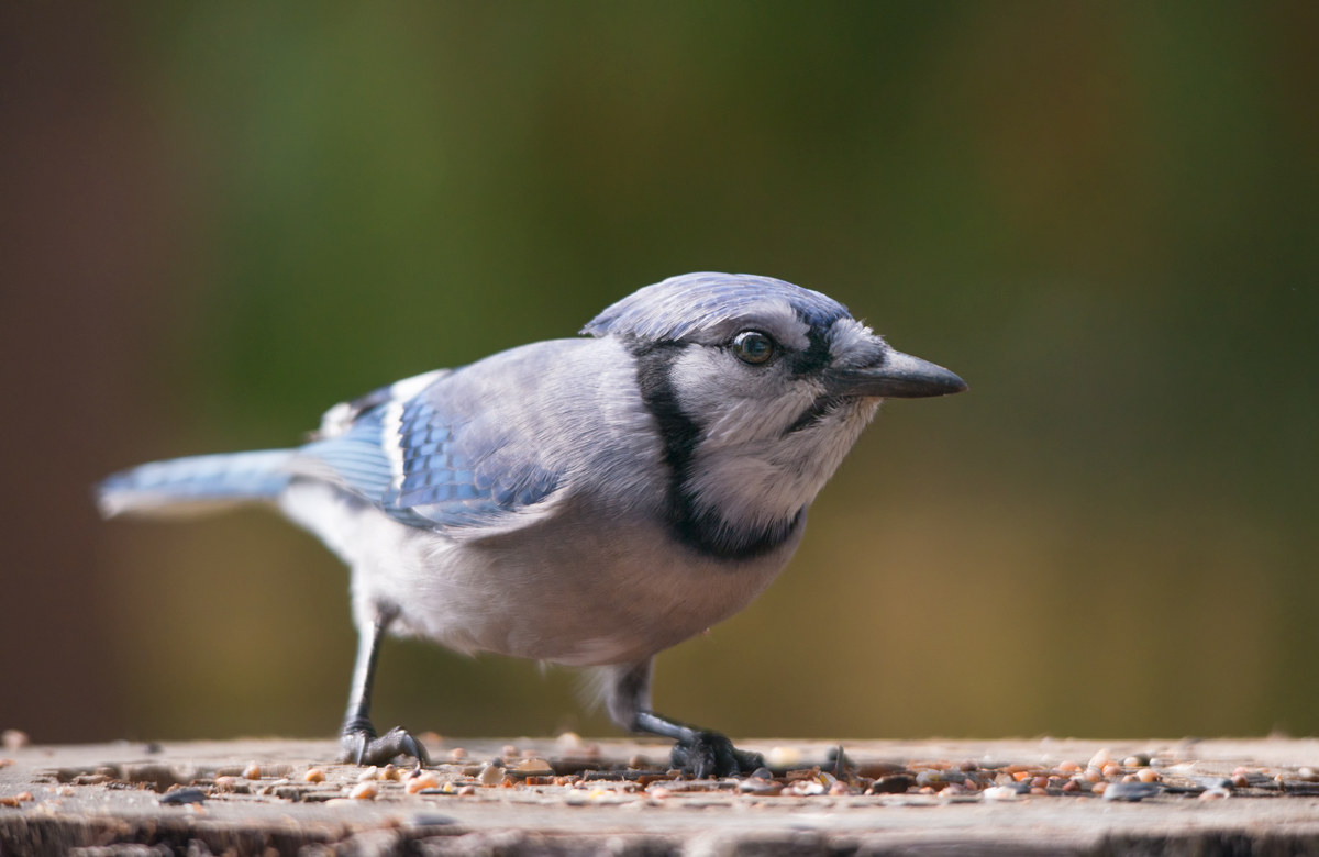 ...when market fresh is over