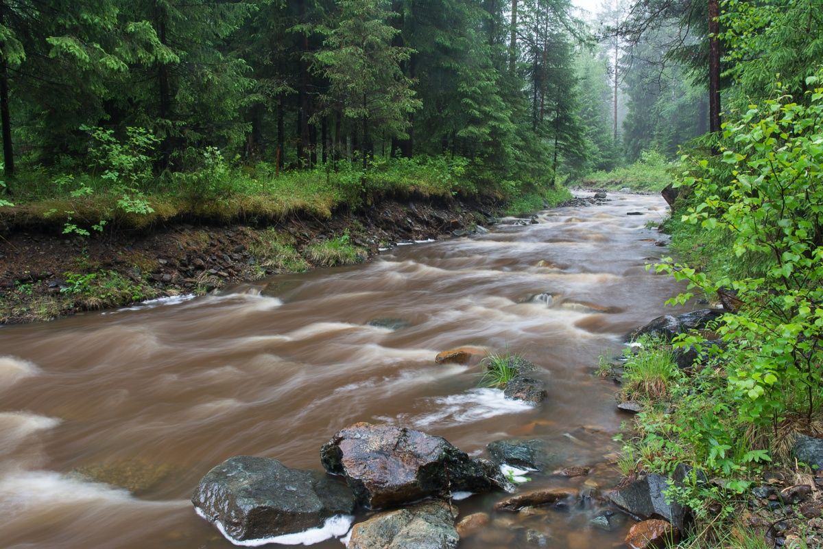 После дождя