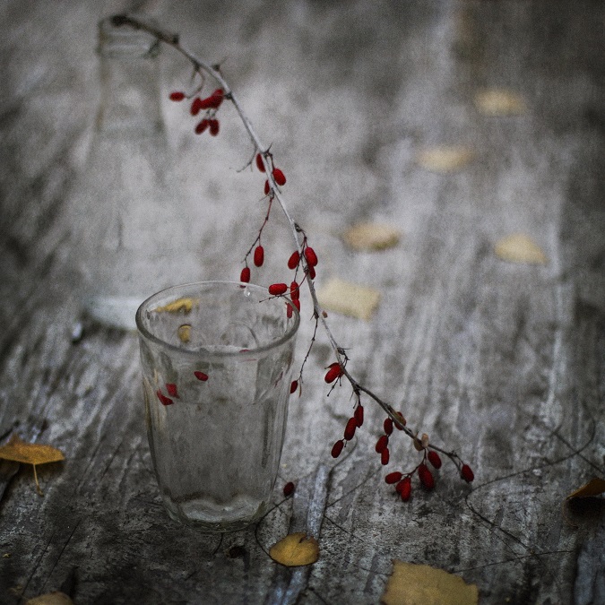 Осент глоток...