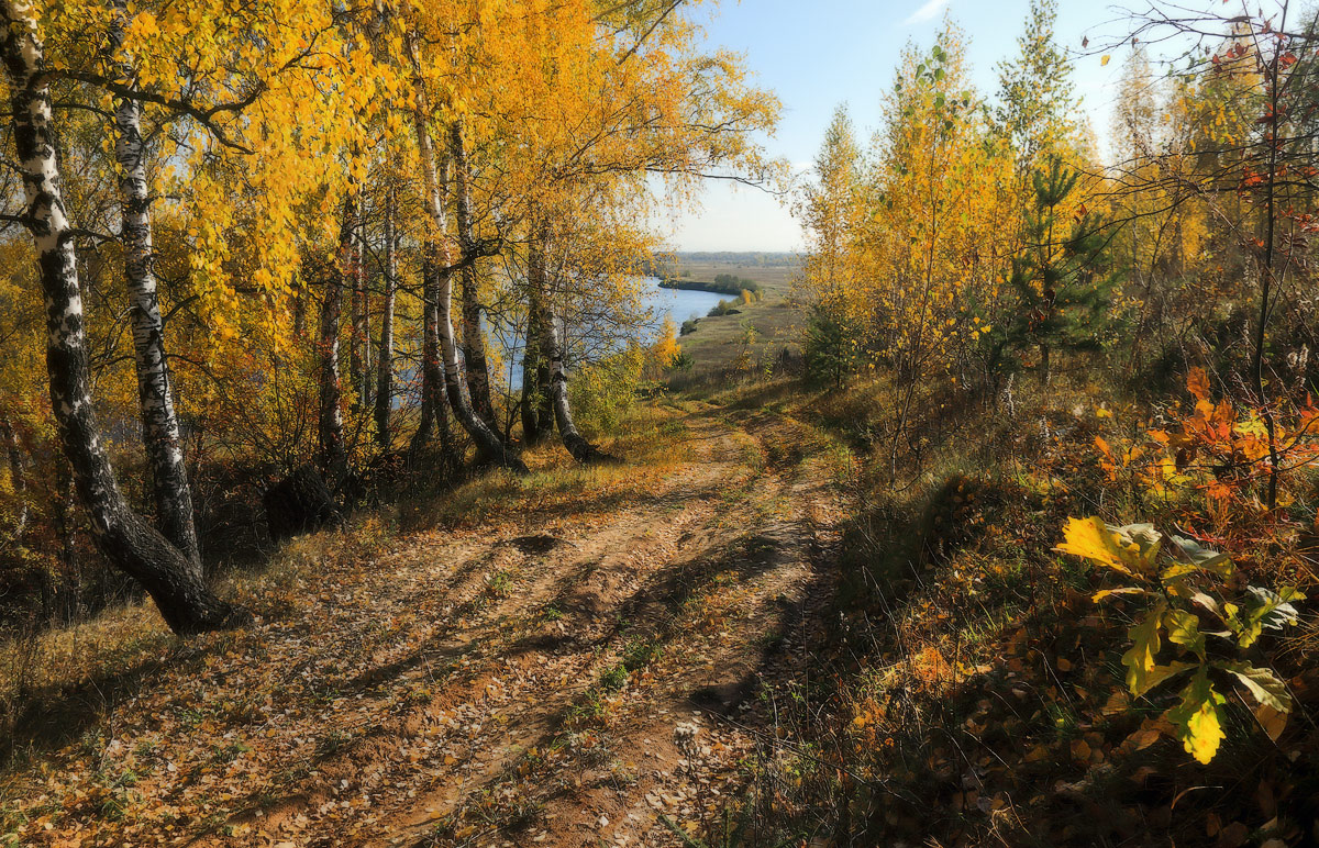 В полуденном солнце октября