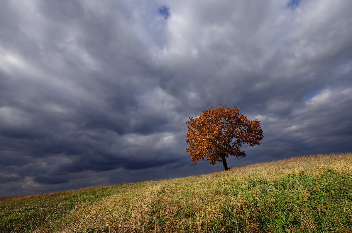 Осенние контрасты