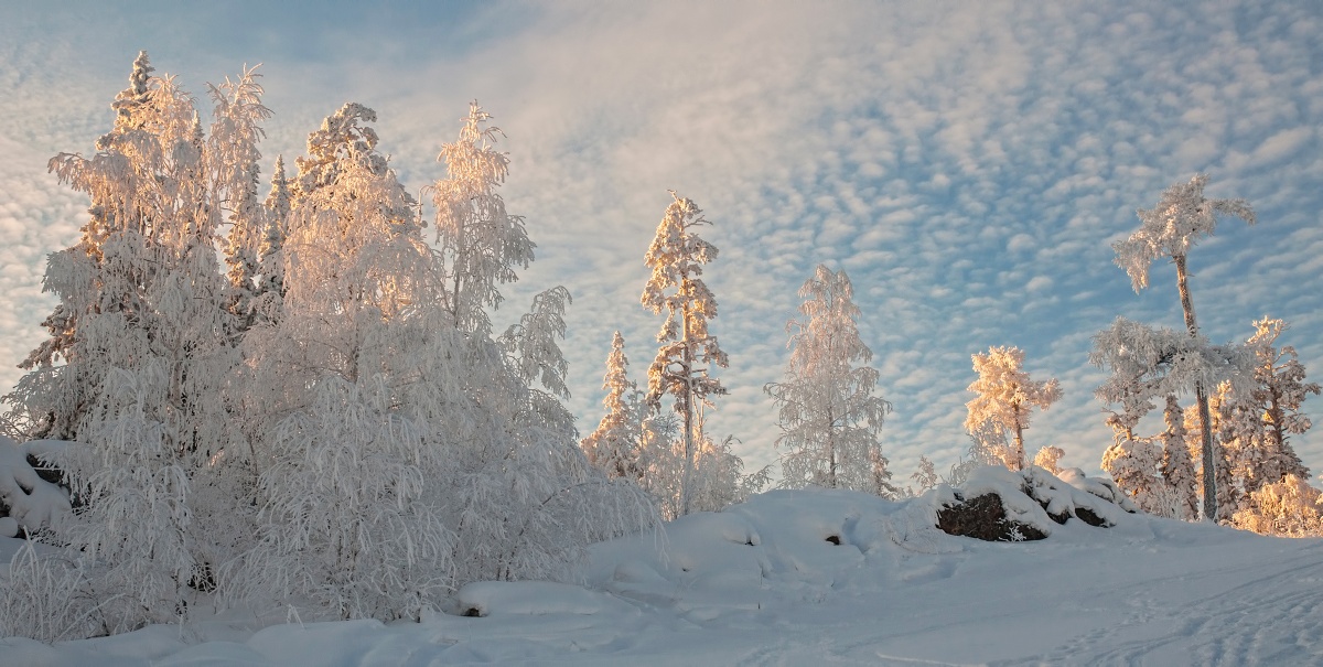 Зимушка зима