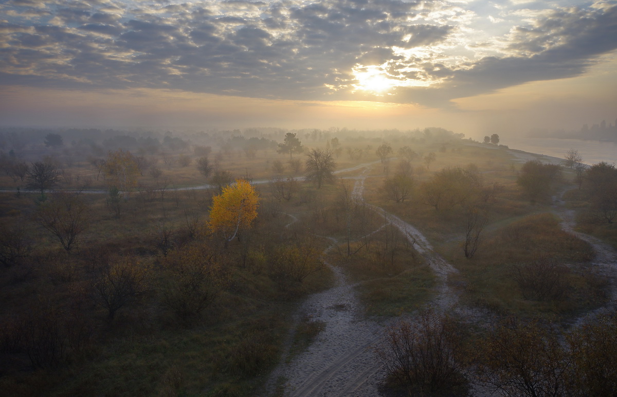 Пути-дорожки