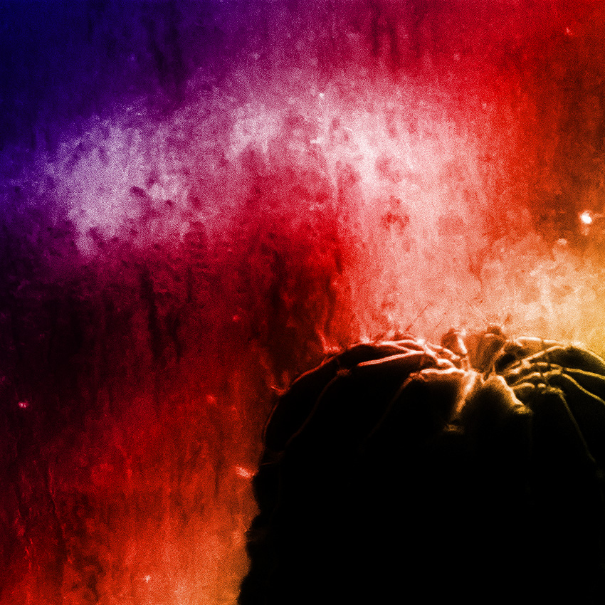 Mood Indigo / Настроение Индиго