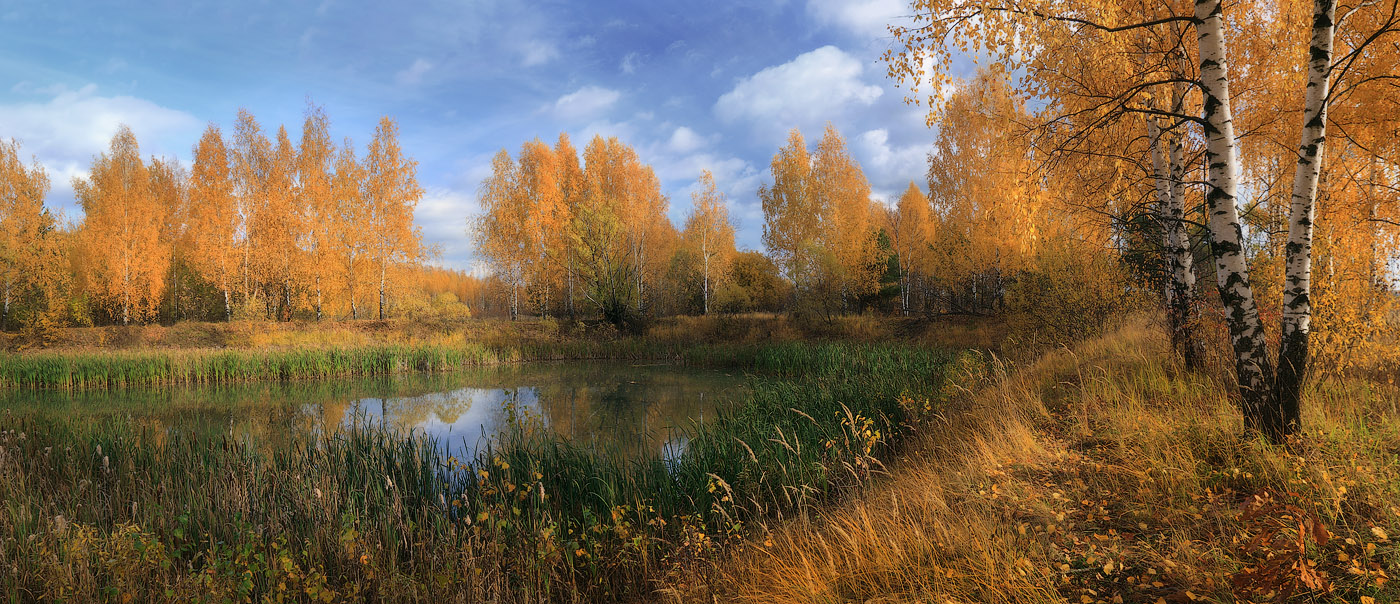 Сюжеты октября