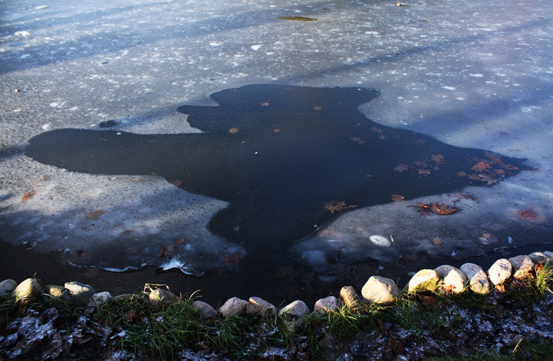 Mood Indigo / Настроение Индиго