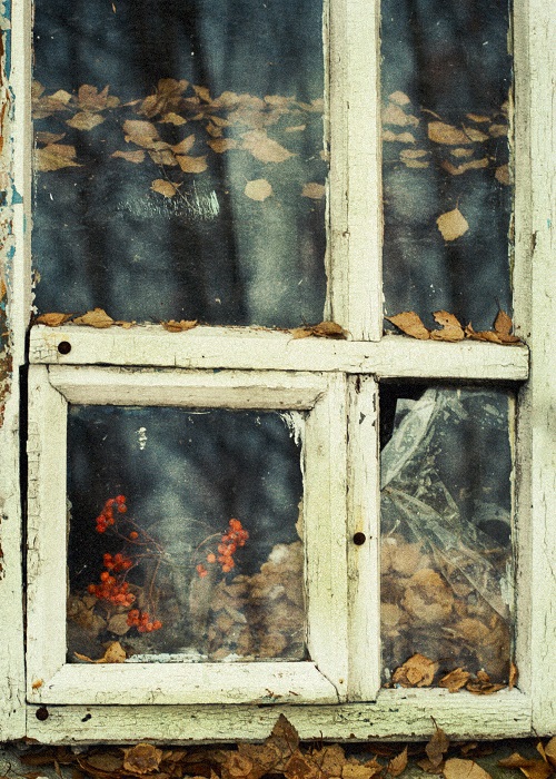 Гроздья рябины...