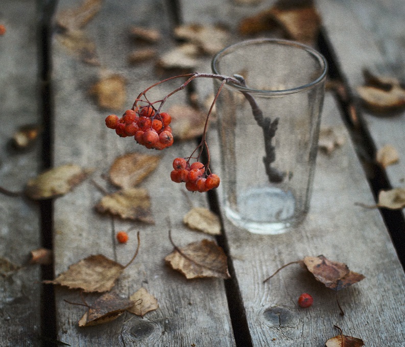 С рябиной...