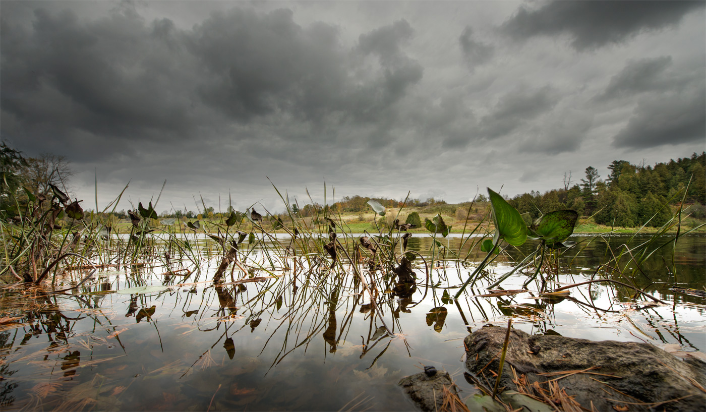 Blakeney Rapids
