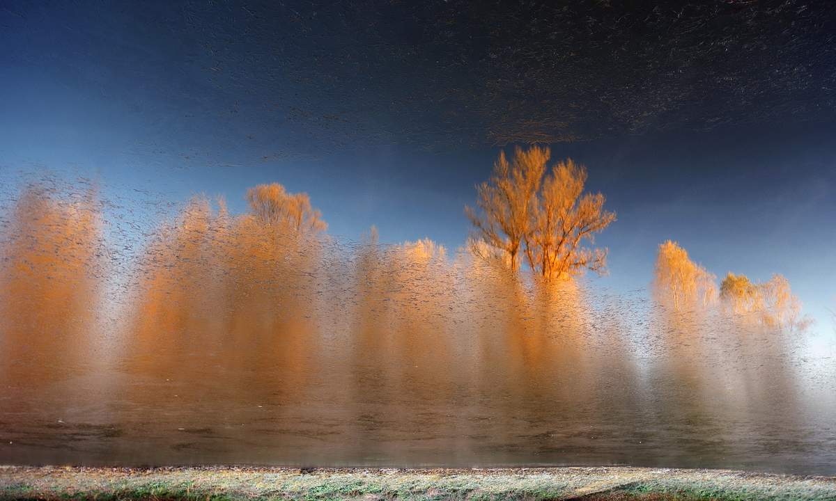 В преддверии ноября