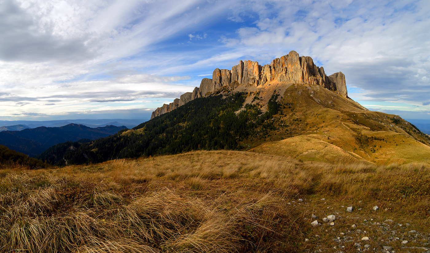 На радиальном маршруте