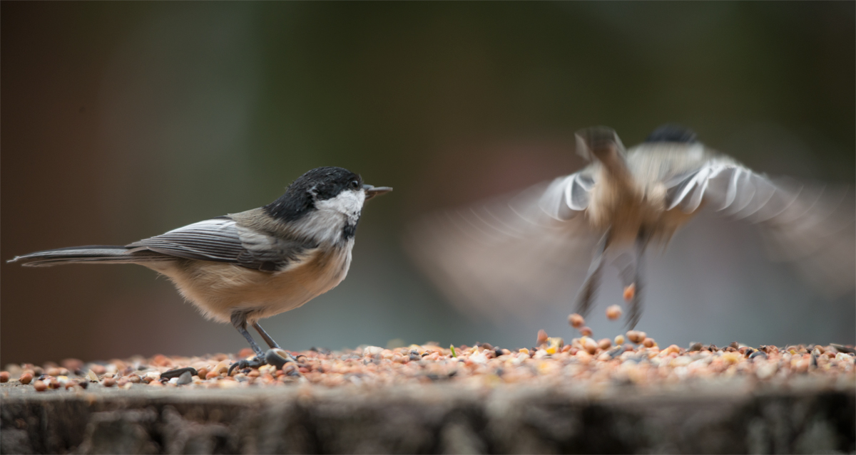 ...feel like you left me alone