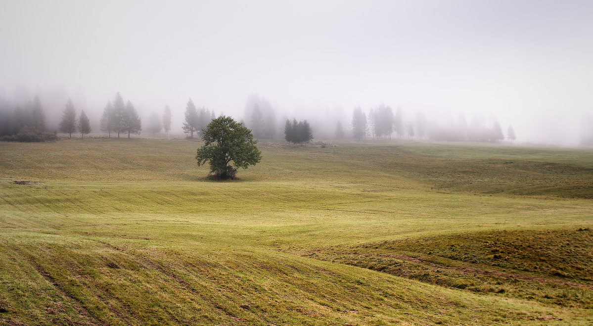 Туманная встреча со Словакией