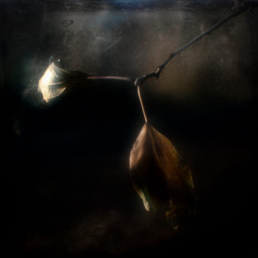 Разговор. Матримональные проблемы пожилого возраста.