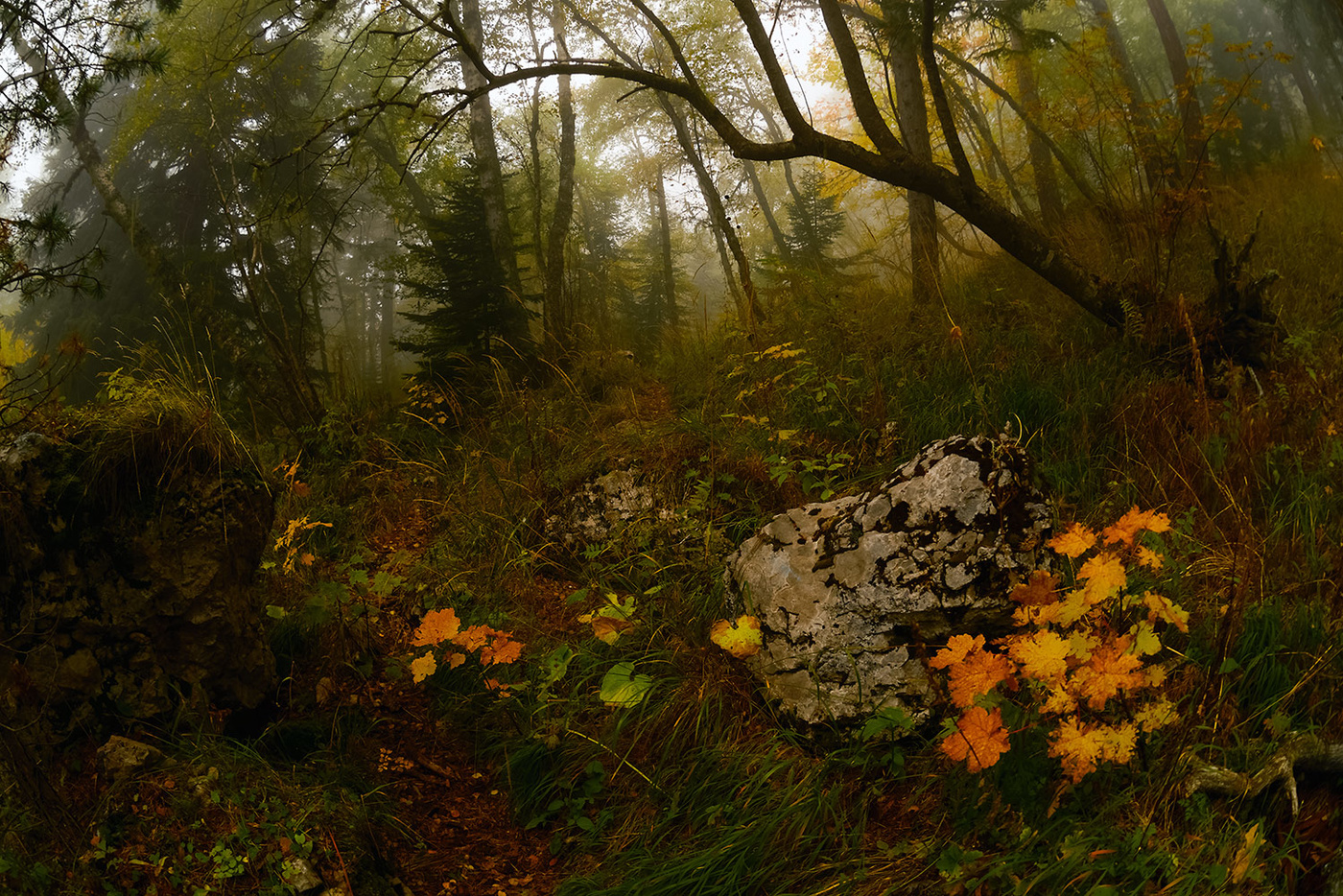 Унылая пора