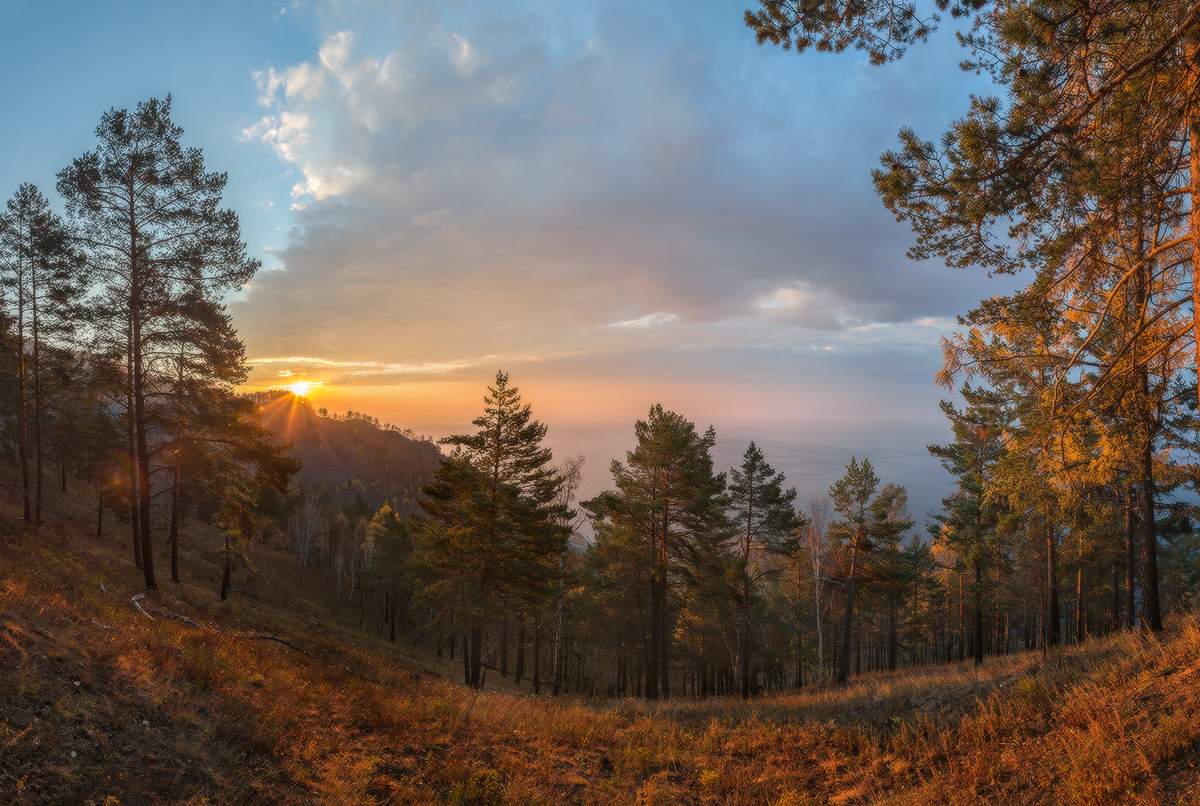 Тёплый свет.