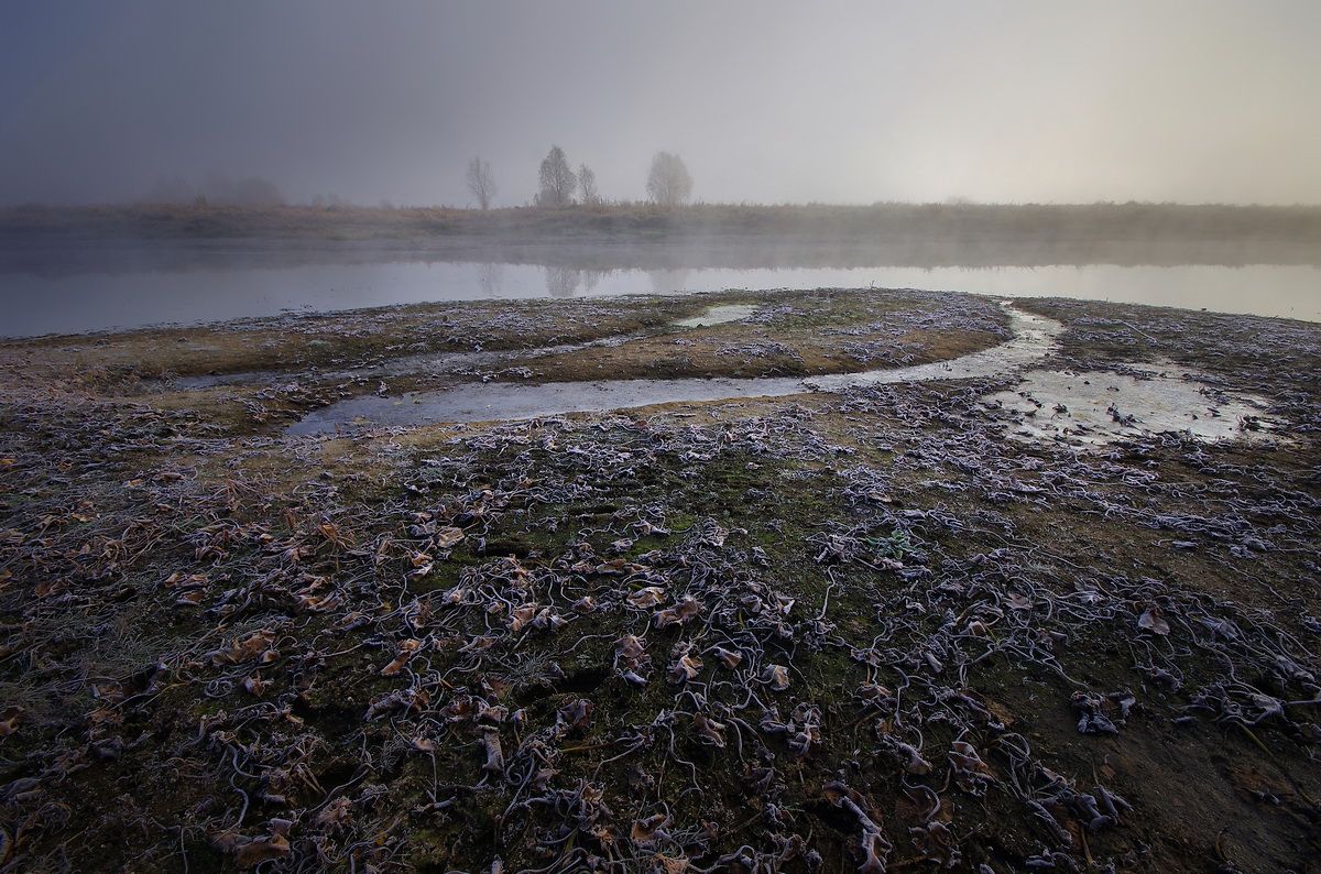 Увядания пора