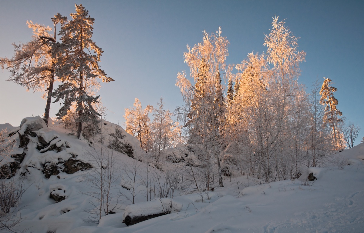 Вечерний свет