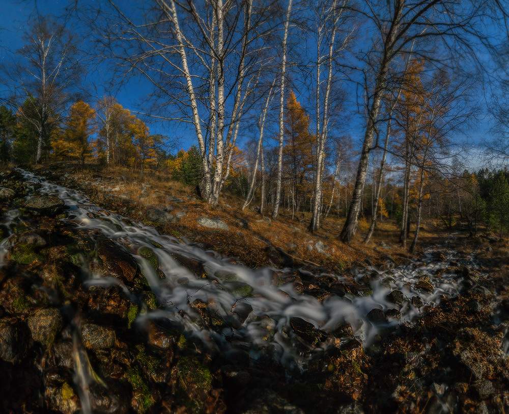 Лунный ручей.