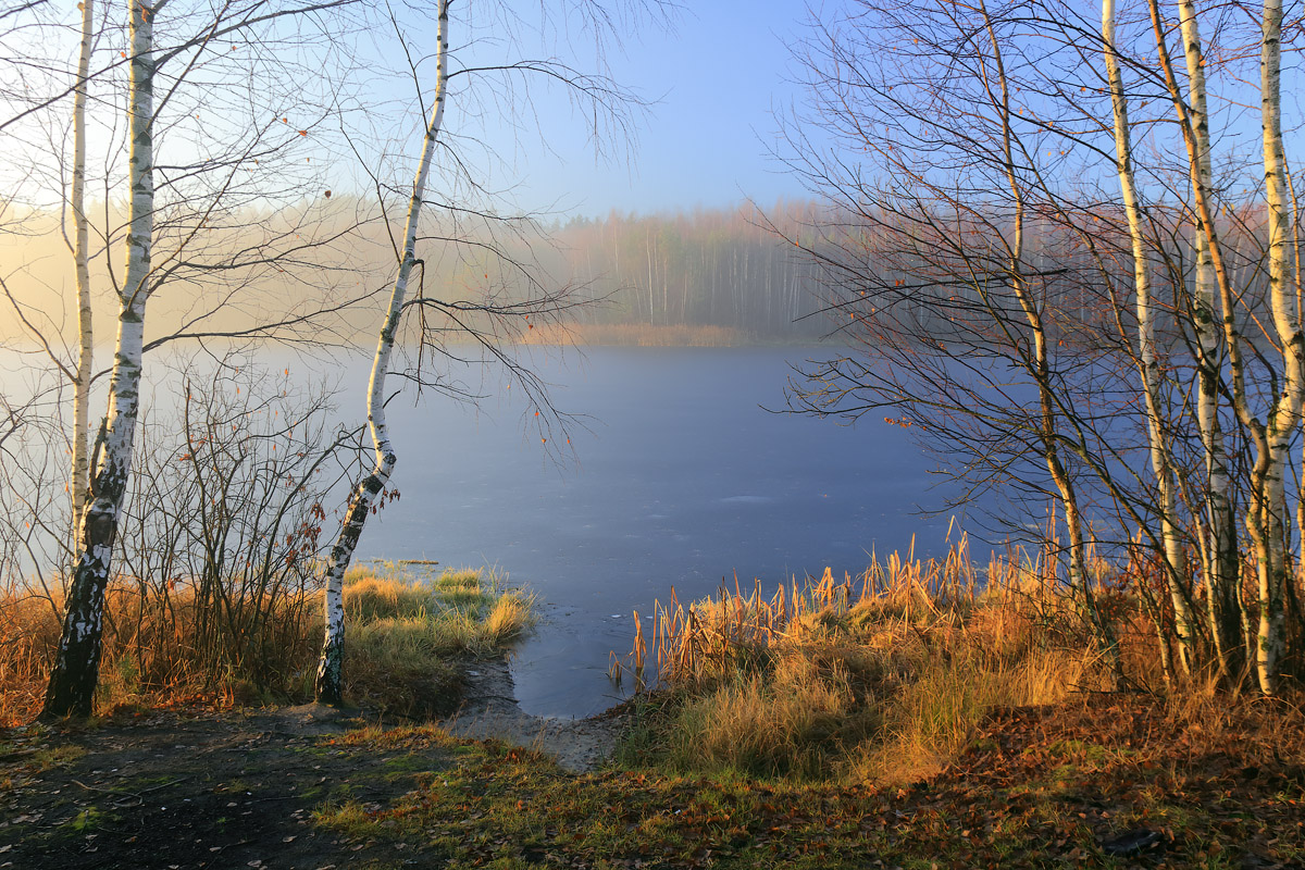 Утренний этюд