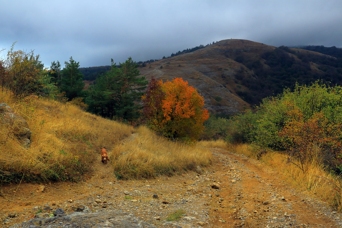 Южный Демерджи