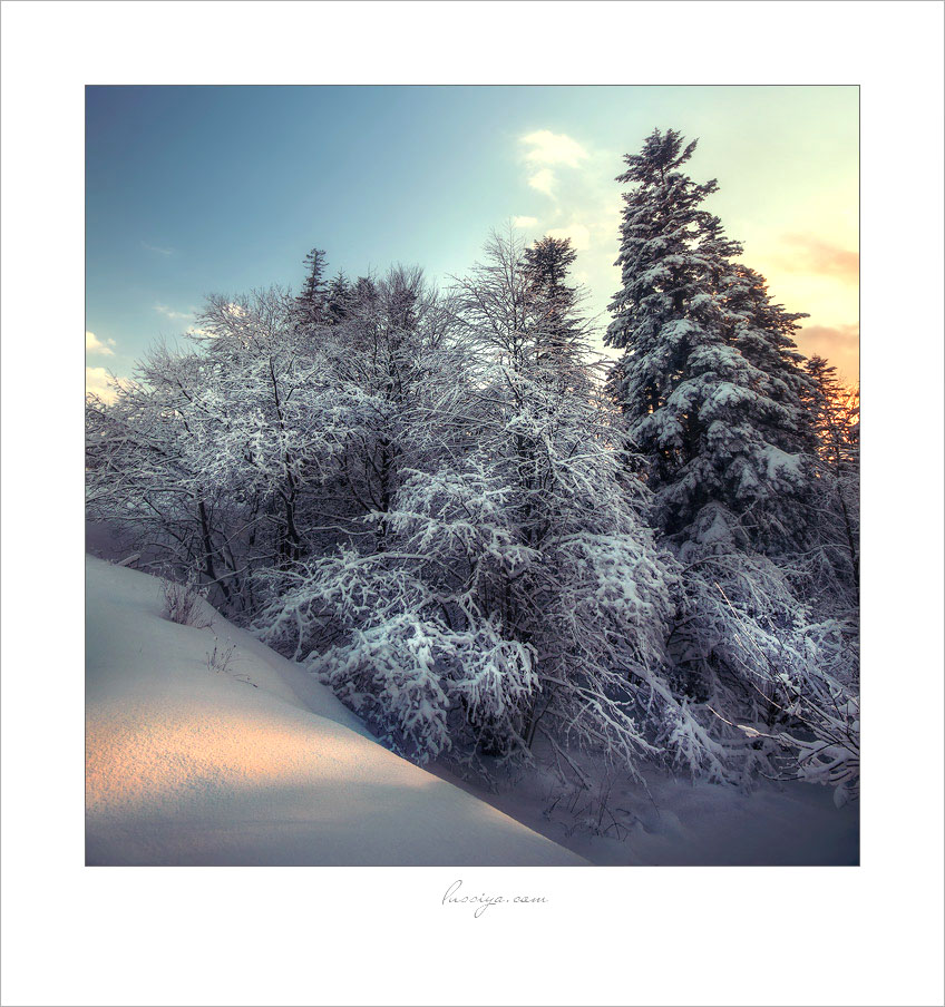 Встреча зимы