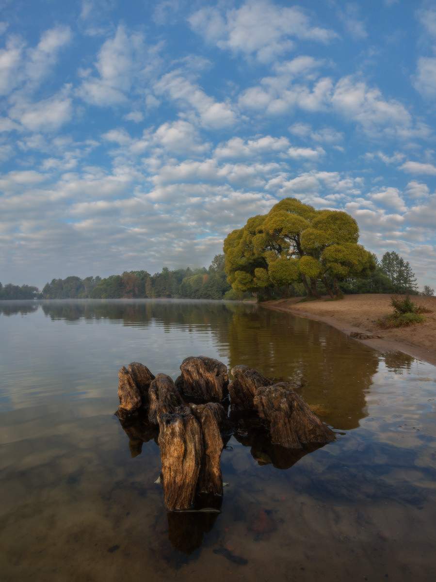 Бывшее дерево - затопленный пень.