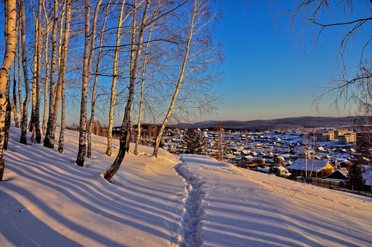Вечерние тени
