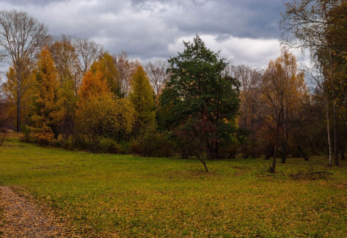 Осенний этюд!