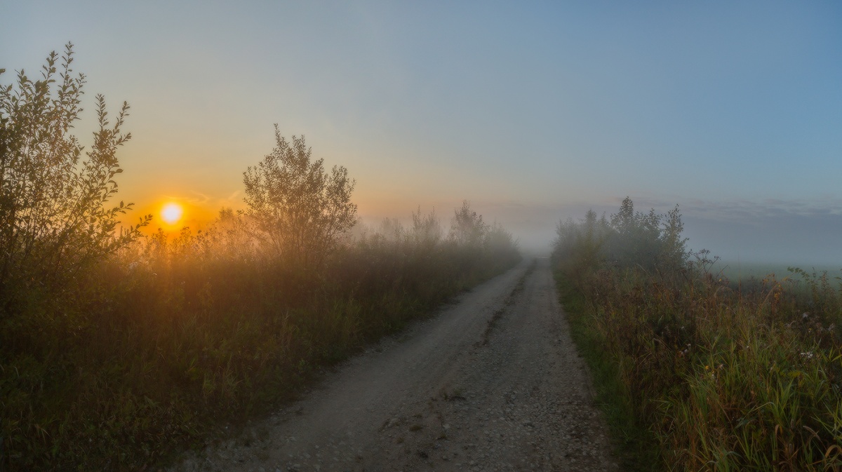 Что там, впереди, в тумане?