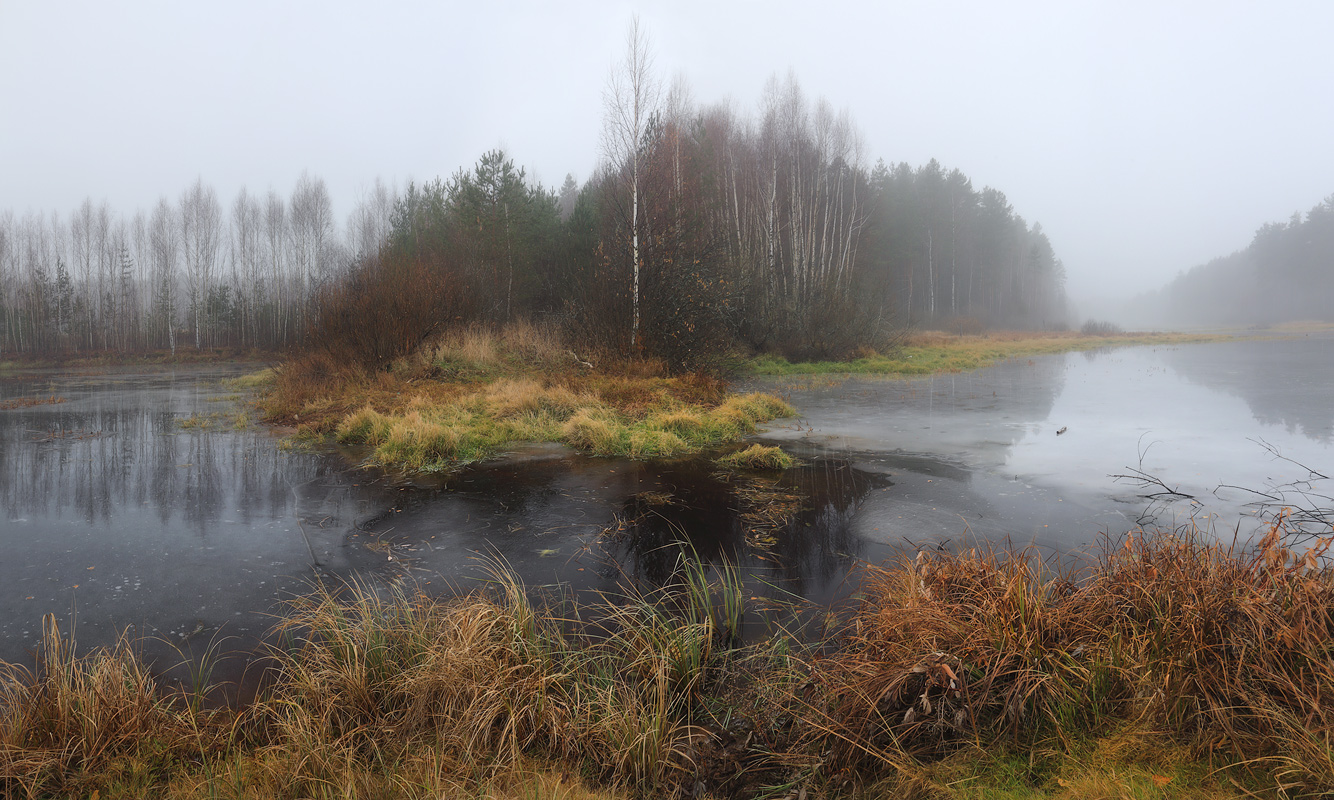 Туманное утро