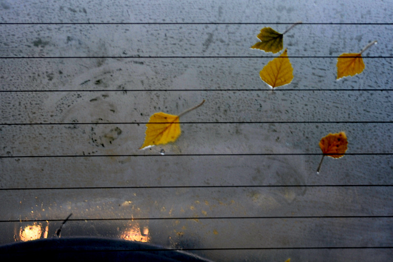 Не верь глазам своим