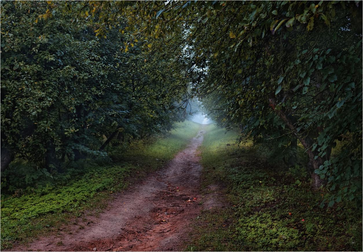 Ненастное утро